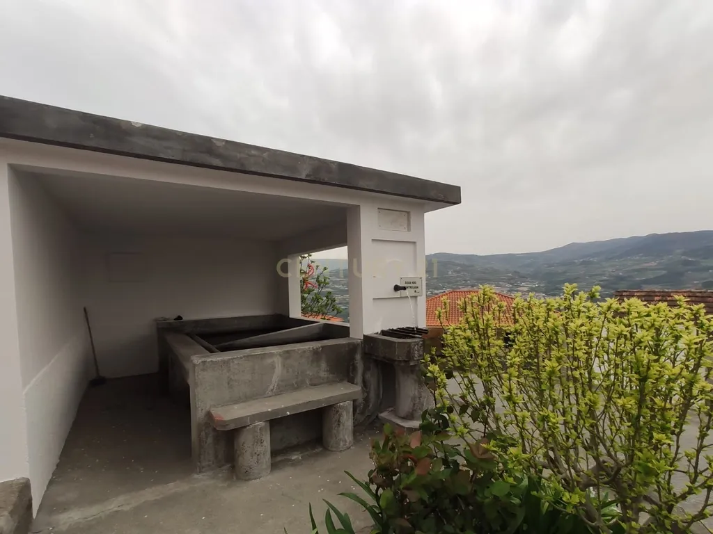 Terreno com casinha e vista para o rio Douro, em S. Tomé de Covelas, Baião para projeto agrícola - Image 55