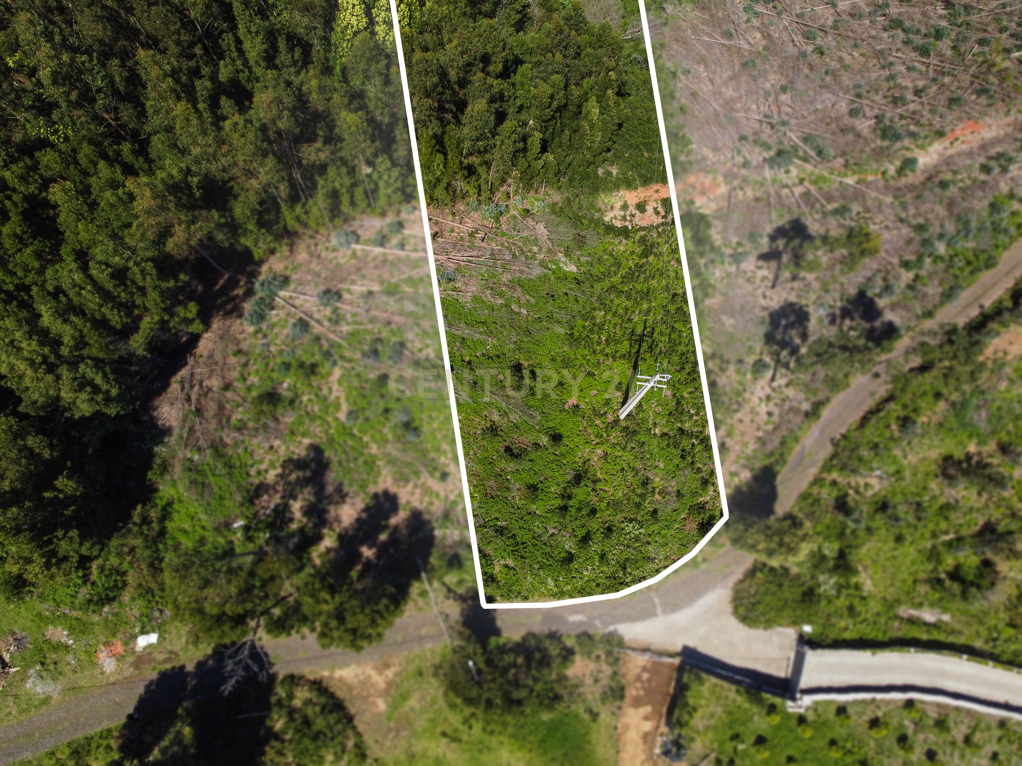 Fotografia 3 de Terreno com Vista Mar e Viabilidade de Construção para Habitação Própria em Gaula