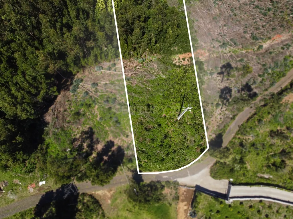 Terreno com Vista Mar e Viabilidade de Construção para Habitação Própria em Gaula - Image 3