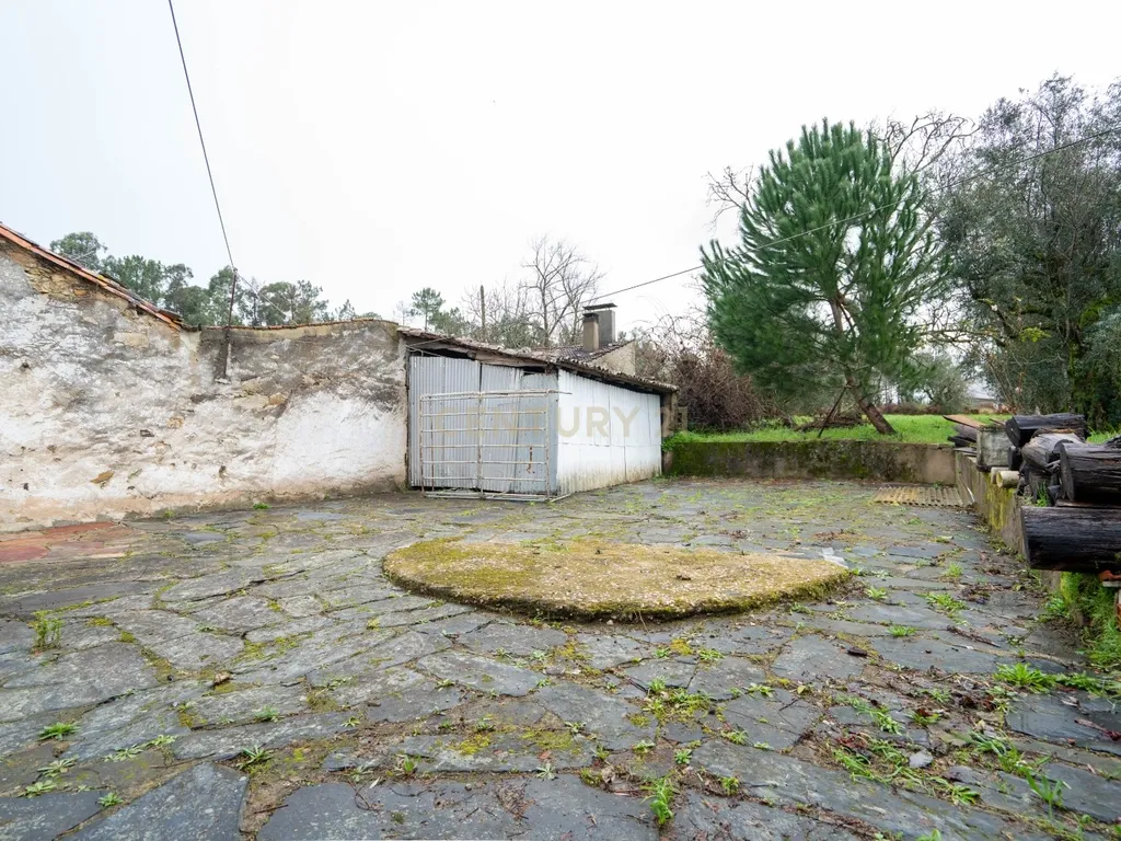 Quinta T5 em Poiares, Vila Nova de Poiares - Oportunidade Única - Image 10