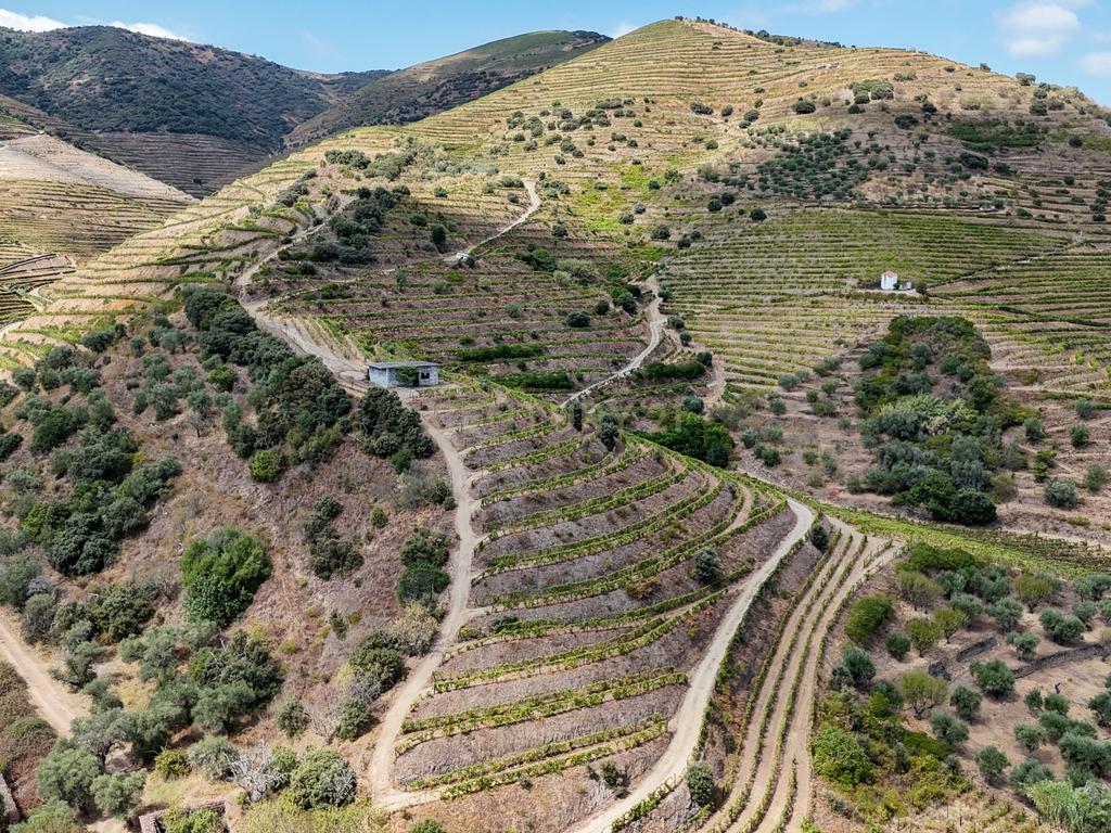 Farm with productive vineyard in the Douro Demarcated Region — São João da Pesqueira - Image 13