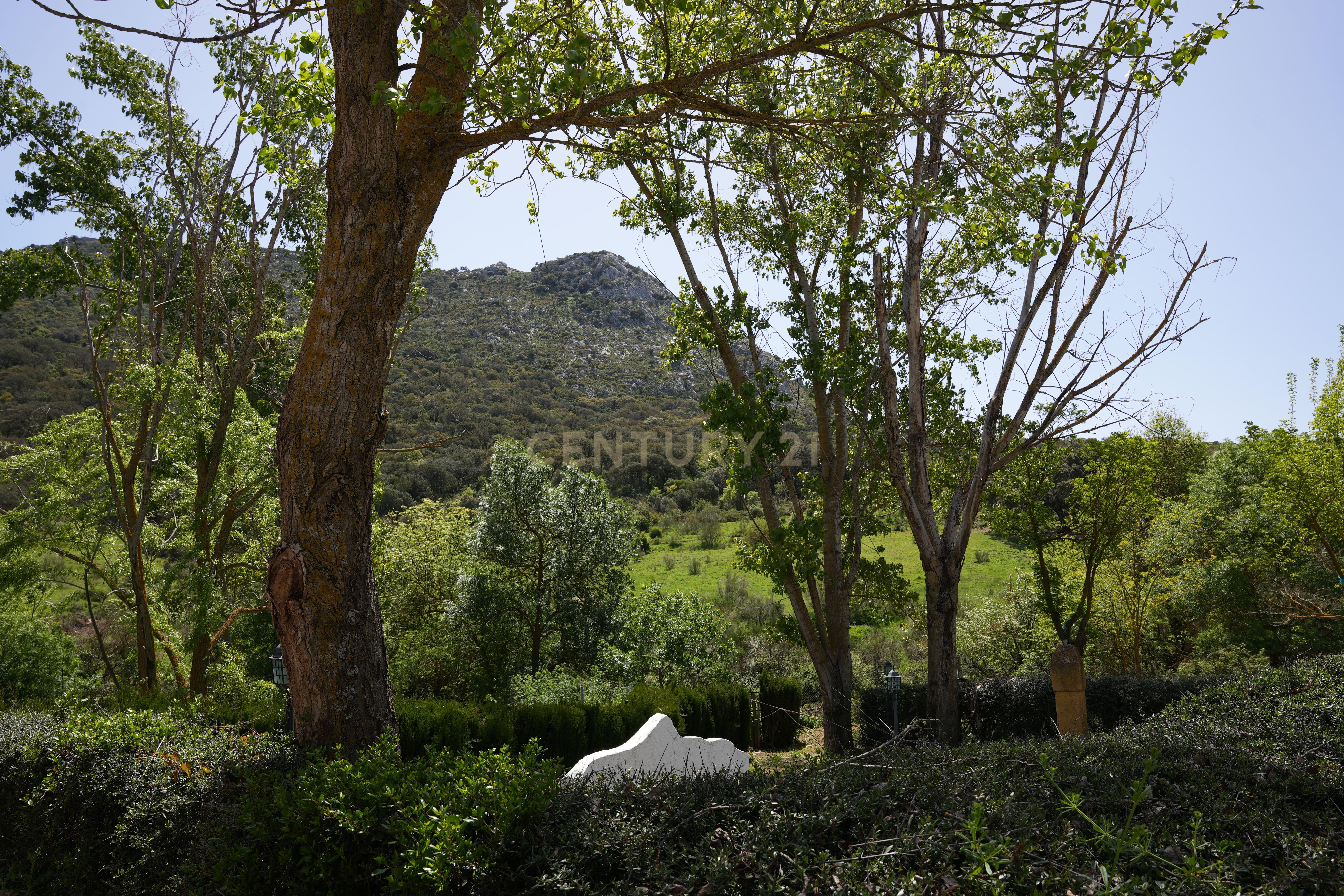 VENDA DE PROPRIEDADE RÚSTICA EM ANTEQUERA COM EXPLORAÇÃO DE AGROTURISMO - Image 98