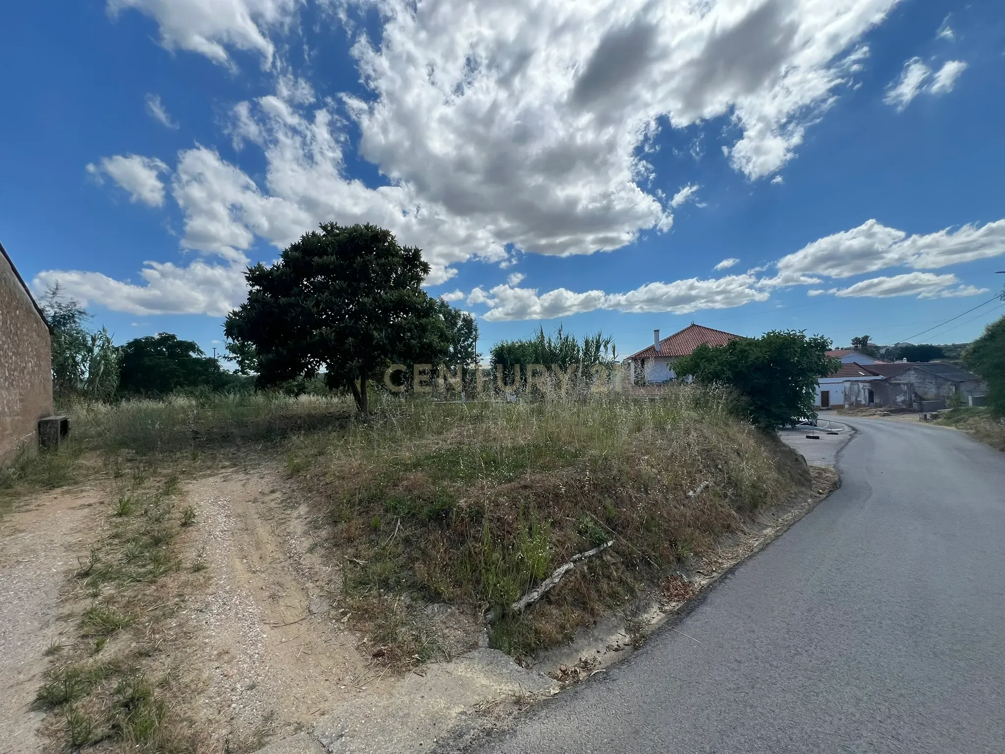 Fotografia 8 de Ruina com terreno em Tomar, União das freguesias de Madalena e Beselga