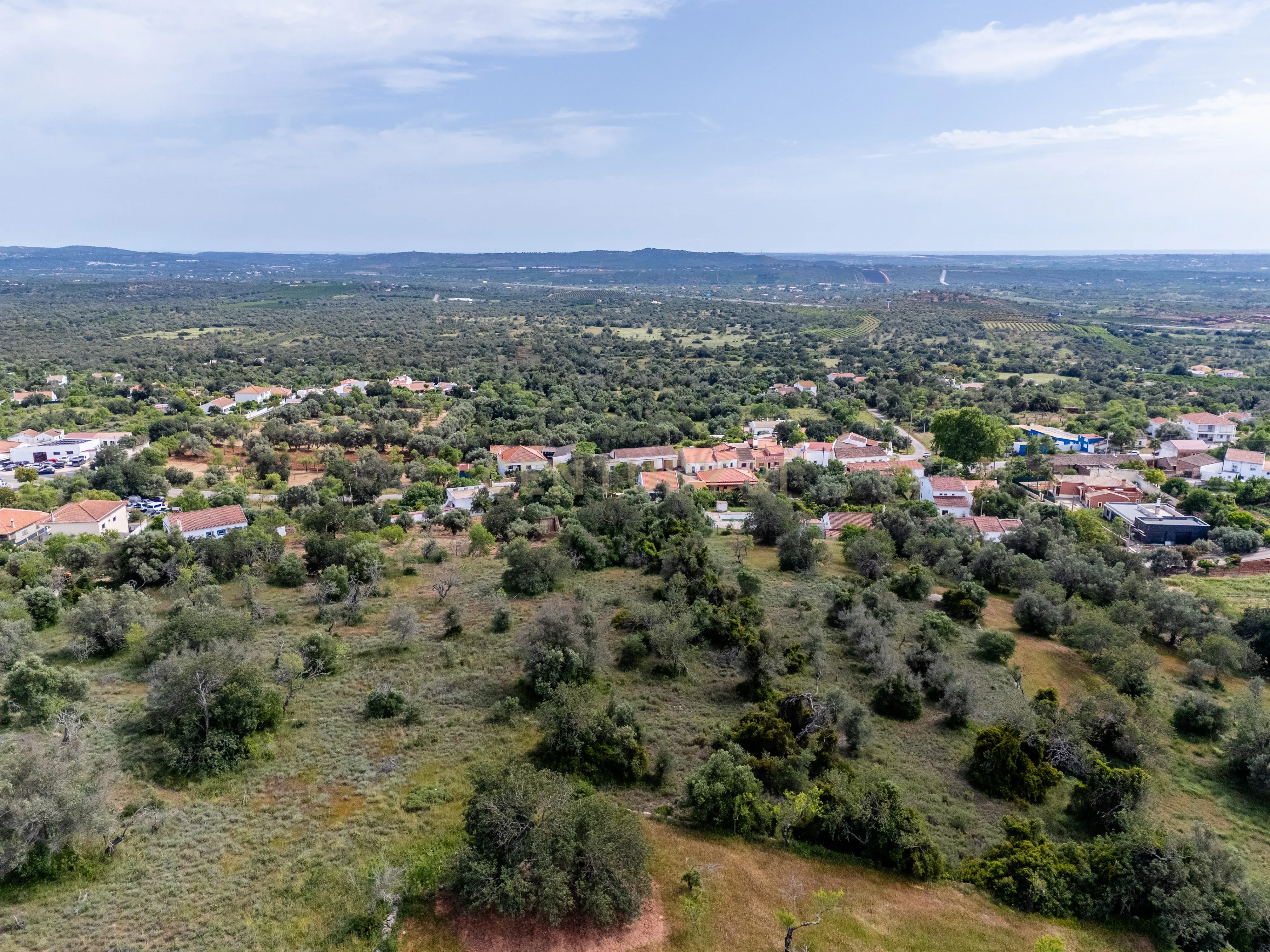 Fotografia 10 de Terreno com Potencial para 3 Moradias | 2.680 m² | São Bartolomeu de Messines | Silves