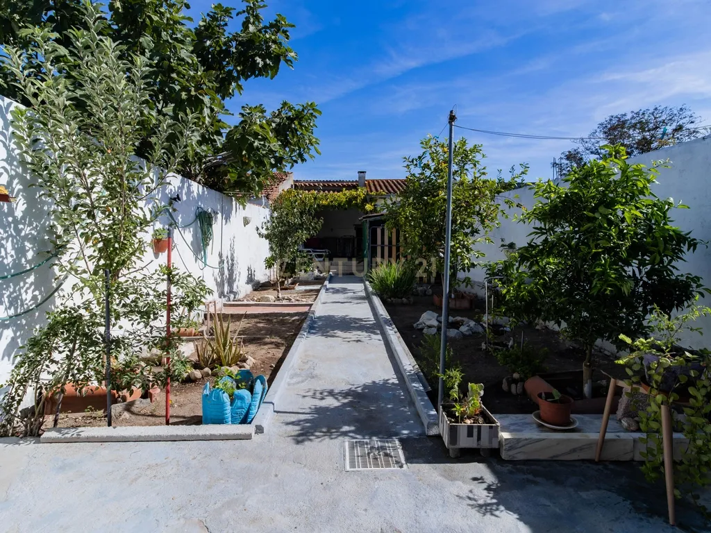 Moradia T3 com Quintal e Churrasqueira em Pombalinho, Santarém - Image 32