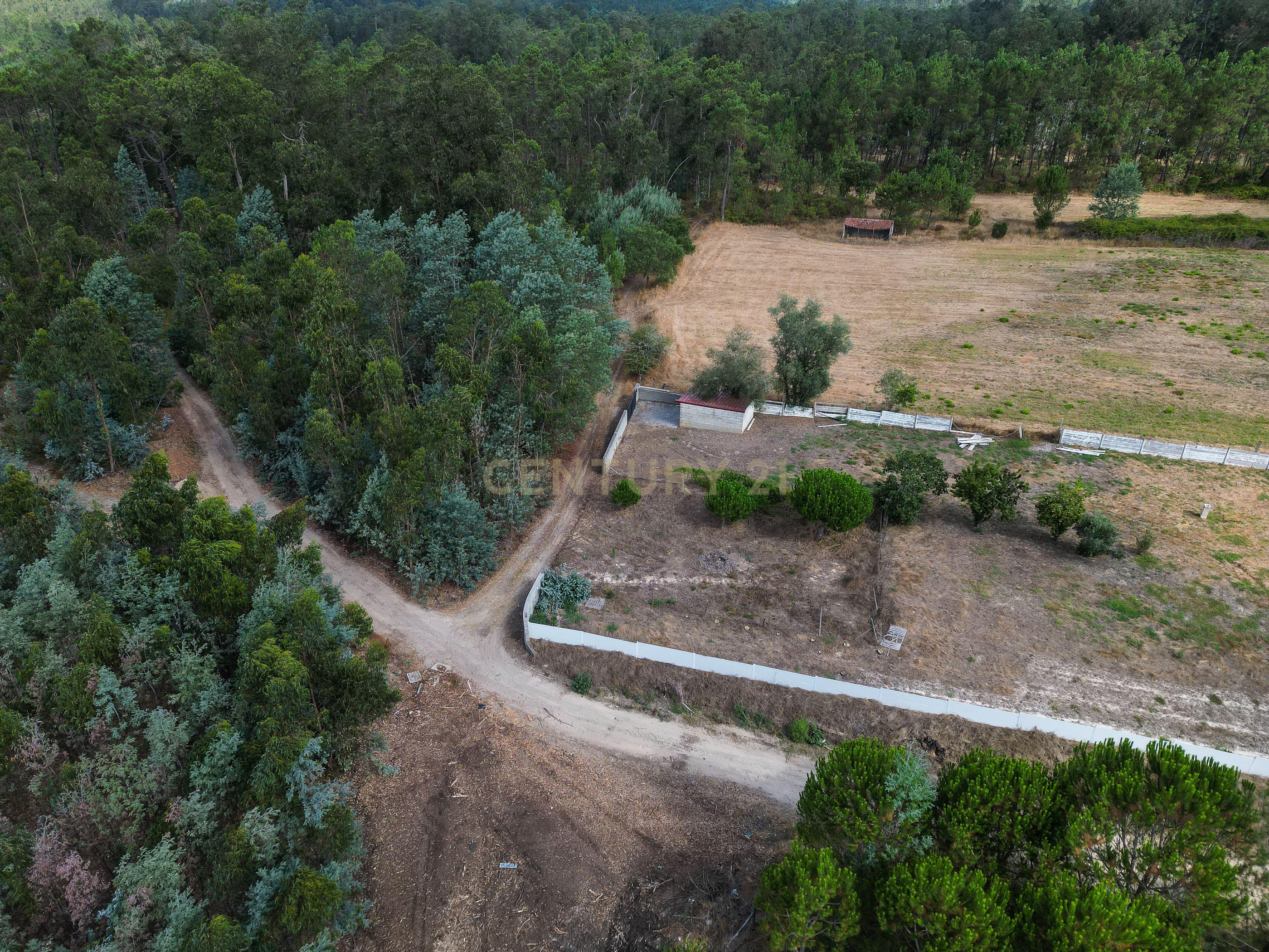 Fotografia 10 de Pinhal com cerca de 720 m² em Canazieira – Cabeça Alta, Montemor-o-Velho