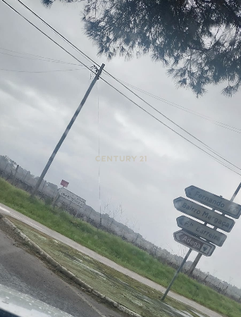 Fotografia 7 de Terreno de 9500m2 com viabilidade de construção, Poceirão, Palmela