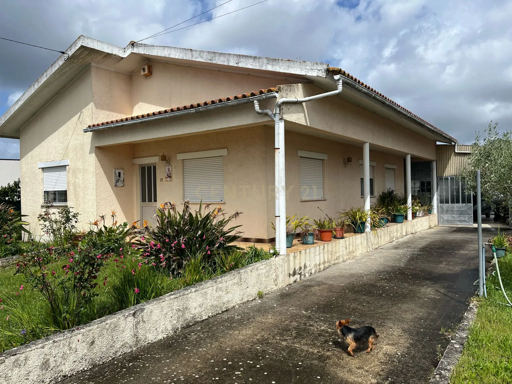 Moradia T3 na Camarneira - Image 1