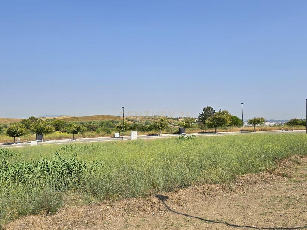 752 m² de Exclusividade num Novo Condomínio na Aldeia dos Capuchos. - Image 19