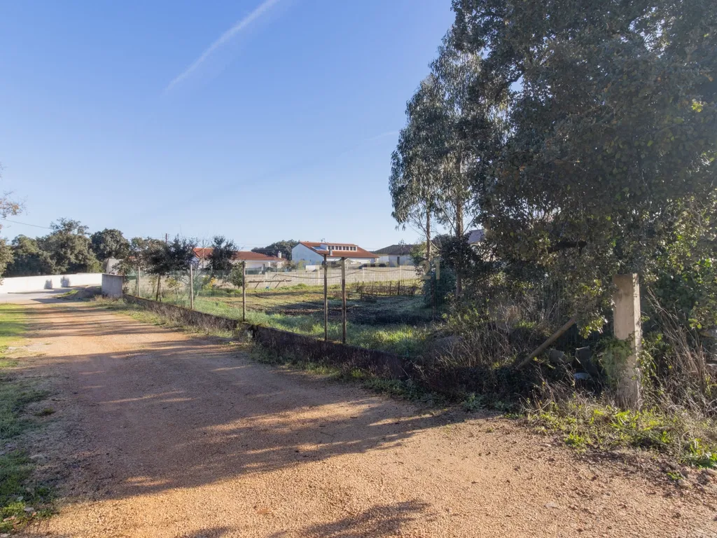 Moradia multifamiliar com rendimento imediato | 2.000 m² de terreno | A apenas 4,5 km de Fátima - Image 18