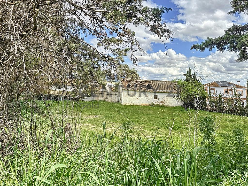 🏡 Encanto andaluz no coração da região: Casa histórica em Humilladero (Málaga) - Image 44