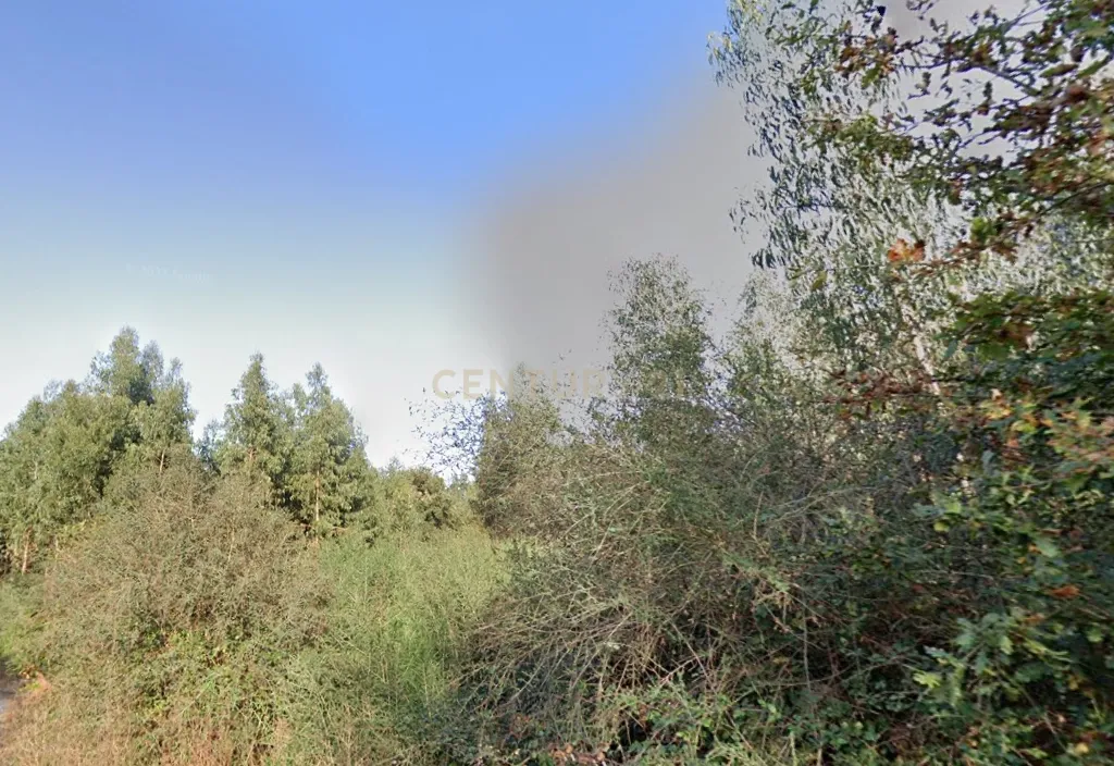 Terreno florestal com área total de 5.400m2 em Alheira - Barcelos - Image 4