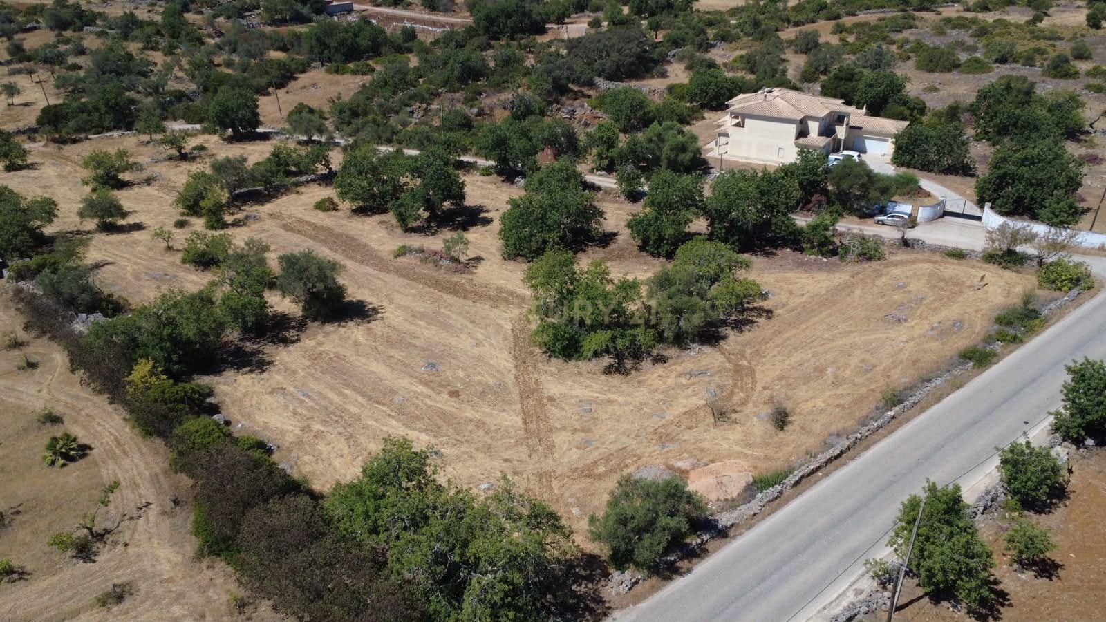 Fotografia 3 de Terreno Rústico com 3.560 m² em Pereiro – Moncarapacho, Olhão