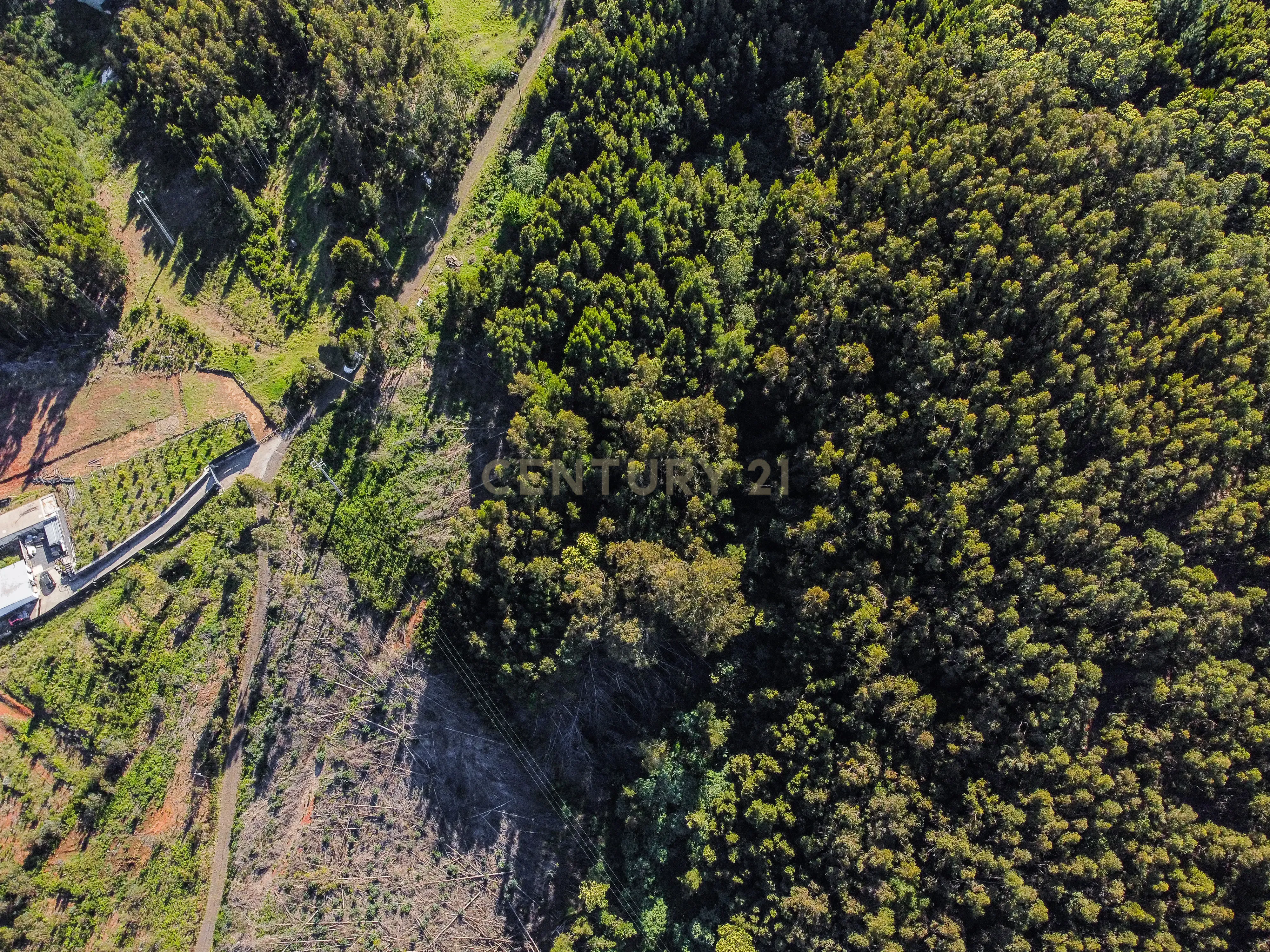 Fotografia 7 de Terreno com Vista Mar e Viabilidade de Construção para Habitação Própria em Gaula