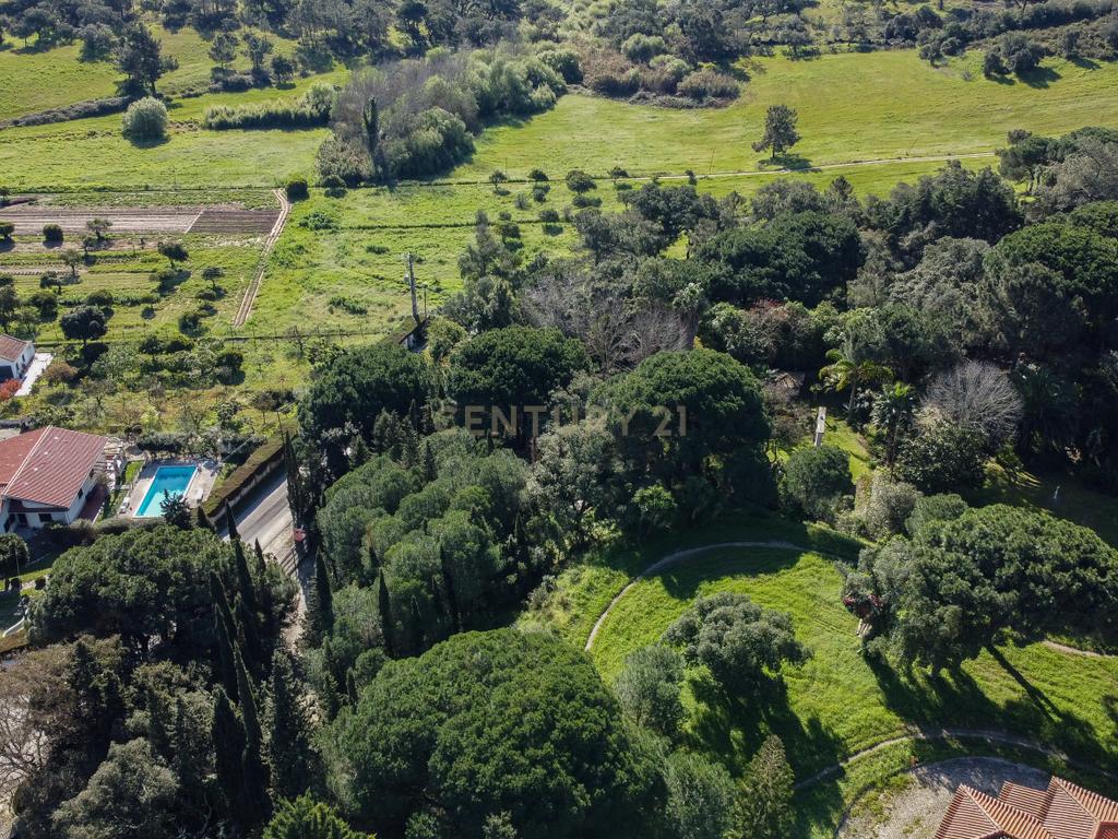 🏡 Terreno para Construção – 2.746 m² | Oportunidade Única Perto de Setúbal! 🌿 - Image 38