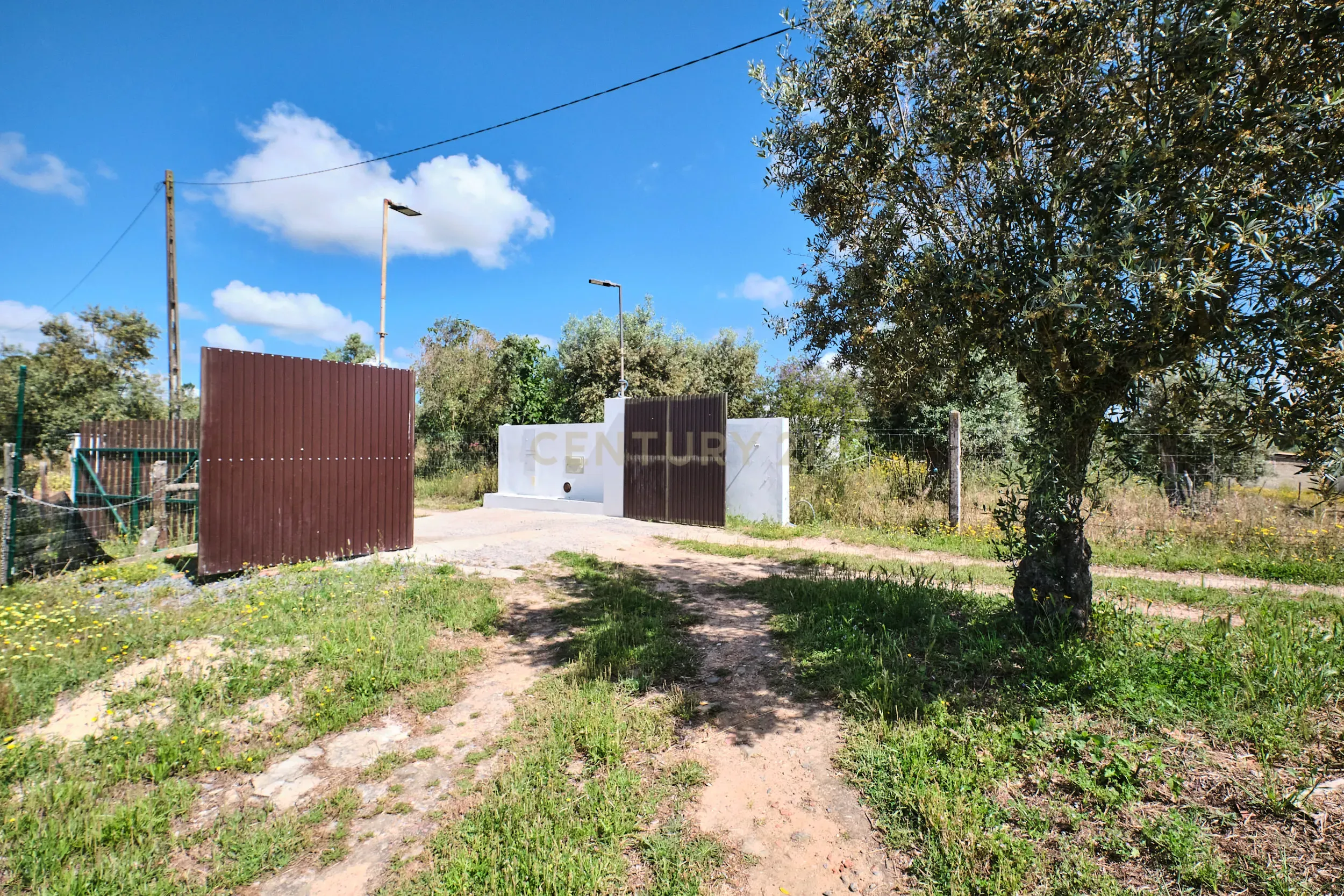 Viva o autêntico Alentejo – Seu refúgio em Ermidas do Sado - Cova do Gato espera por si - Image 11