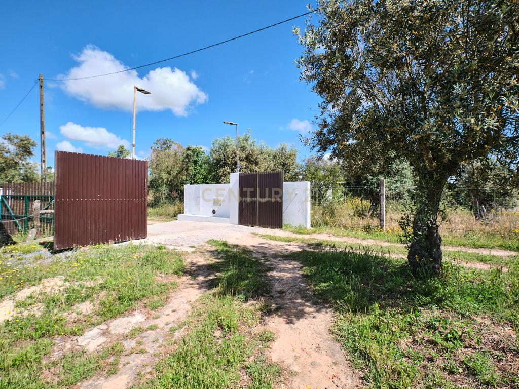 Viva o autêntico Alentejo – Seu refúgio em Ermidas do Sado - Cova do Gato espera por si - Image 11