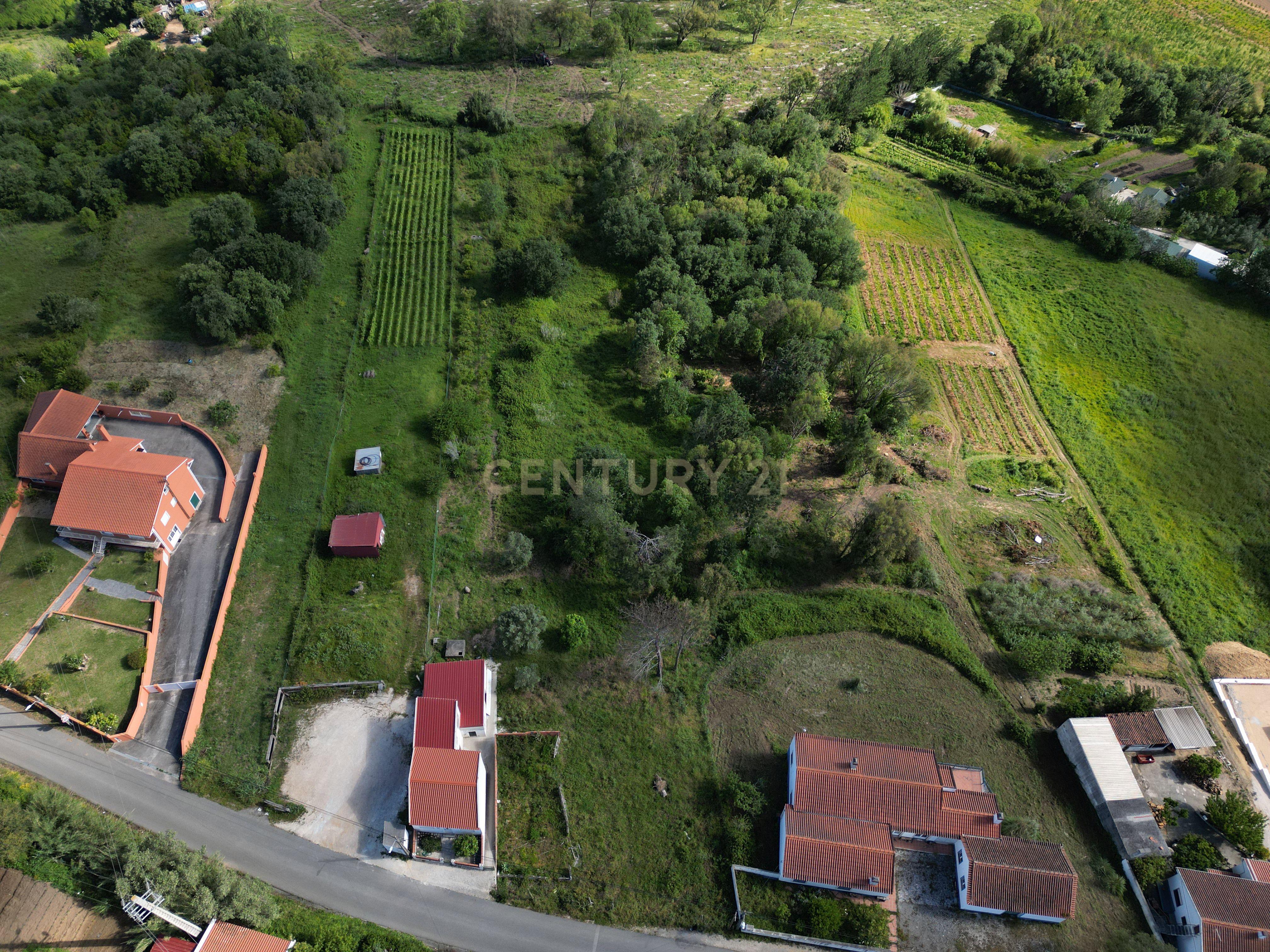 Fotografia 10 de Terreno para construção - Bemposta, Maiorga, Alcobaça