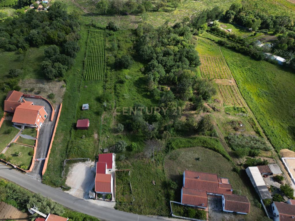 Terreno para construção - Bemposta, Maiorga, Alcobaça - Image 10