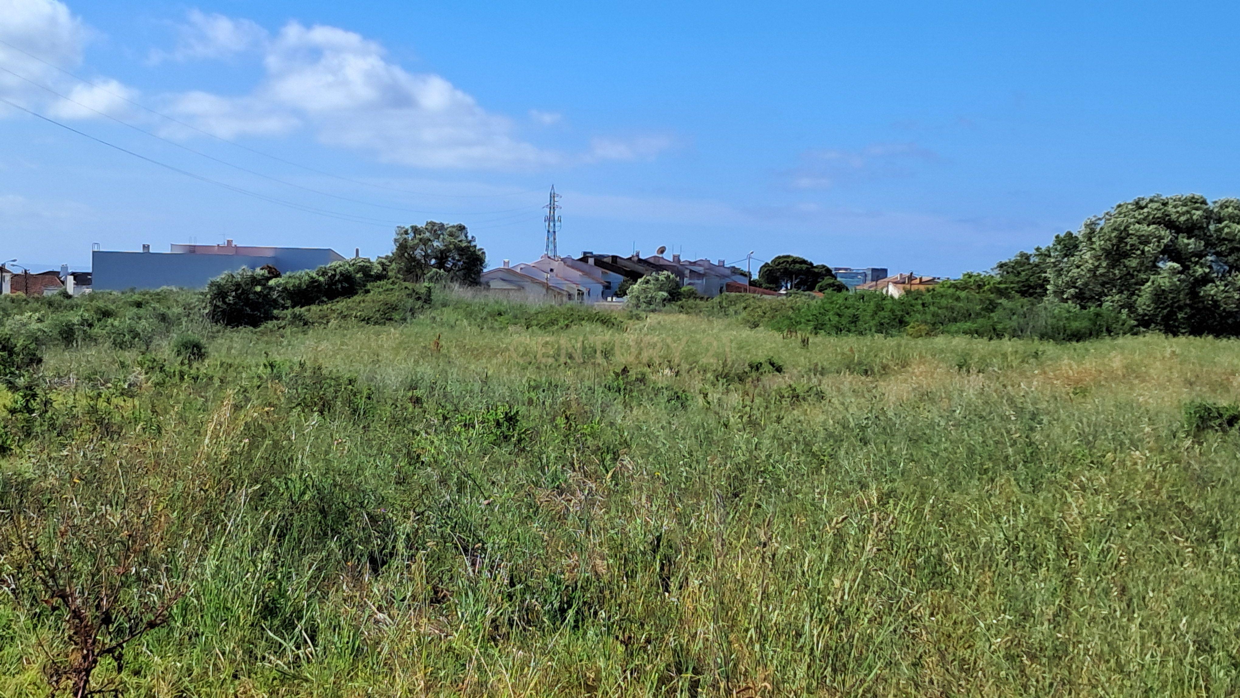 Fotografia 9 de Terreno rústico urbanizável para venda em Porto Salvo - Oeiras