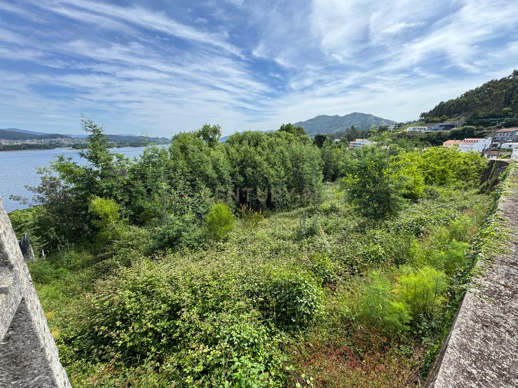 Terreno com 6000m2 em Seixas, Caminha - Junto ao Rio Minho - Image 10
