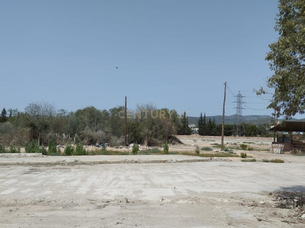 undefined - Image 7