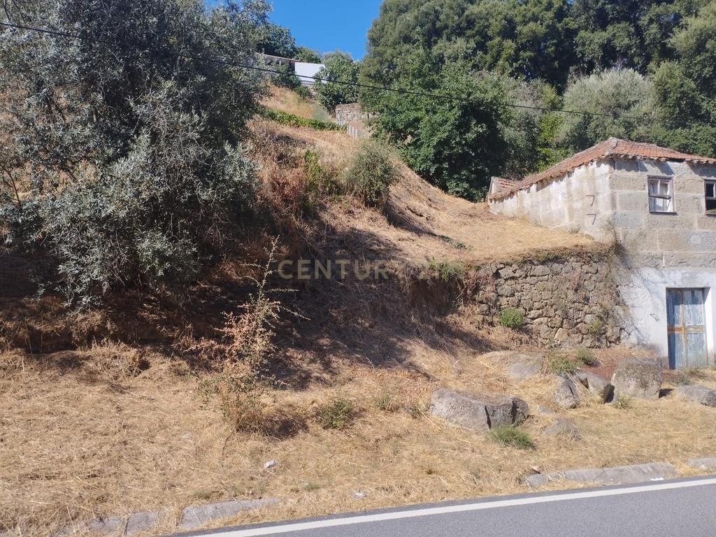 Moradia em ruina repleta de belas histórias, para reconstruir, no coração do Douro em Frende, Baião - Image 52