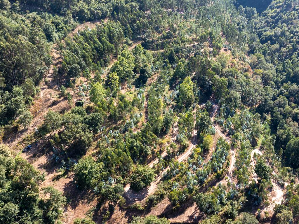Quinta Exclusiva, rodeada de natureza e com vistas fantásticas sobre o Rio Douro - Image 6