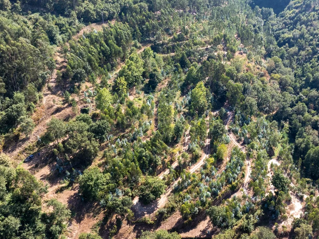 Quinta Exclusiva, rodeada de natureza e com vistas fantásticas sobre o Rio Douro - Image 6