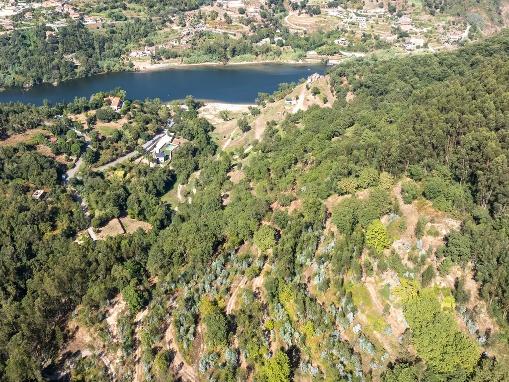 Quinta Exclusiva, rodeada de natureza e com vistas fantásticas sobre o Rio Douro - Image 7
