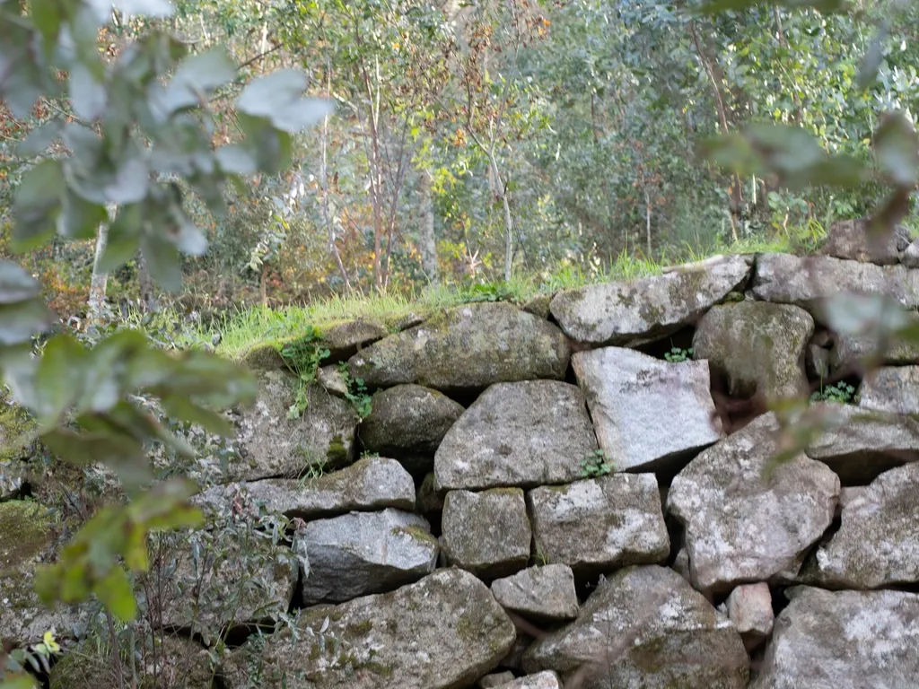 Quinta Exclusiva, rodeada de natureza e com vistas fantásticas sobre o Rio Douro - Image 26