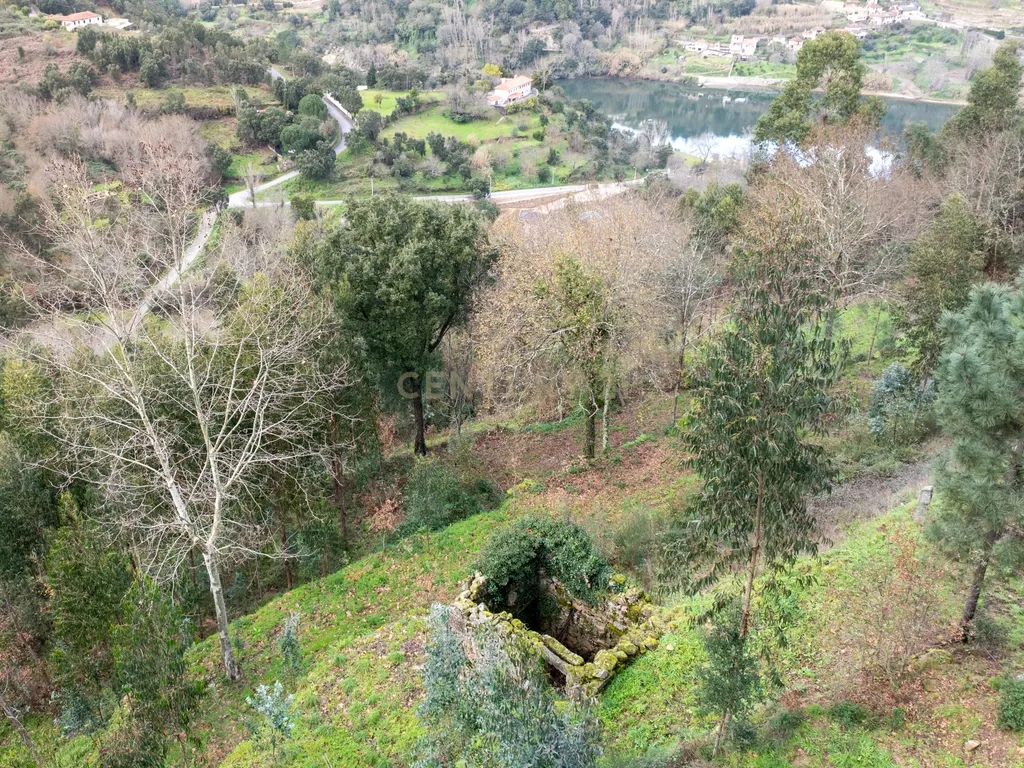 Quinta Exclusiva, rodeada de natureza e com vistas fantásticas sobre o Rio Douro - Image 27