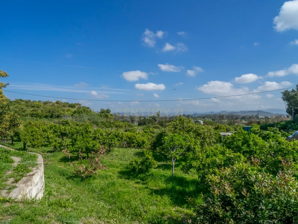 Propriedade única com 2 habitações independentes, piscina e zona desportiva em Alhaurín de la Torre - Image 65