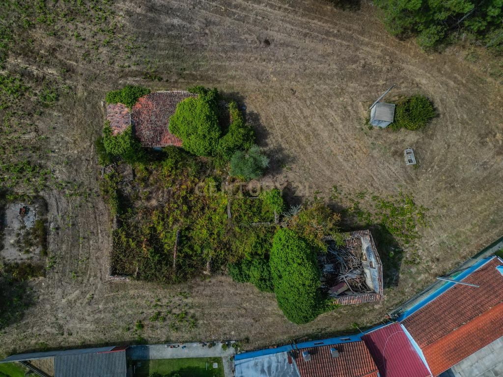 Propriedade com duas casas para reabilitar, terreno e poço na Costeira – Figueira da Foz - Image 13