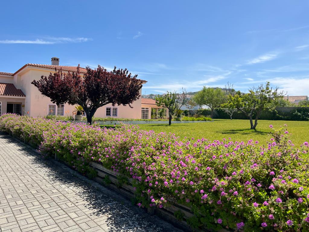 Hotel de Charme no Alentejo – Santiago do Cacém - Image 43