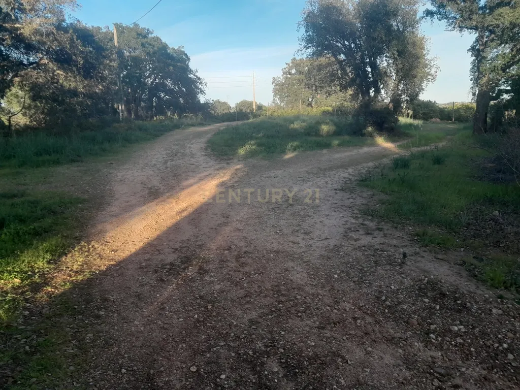 Terreno Zona Calma - Image 21