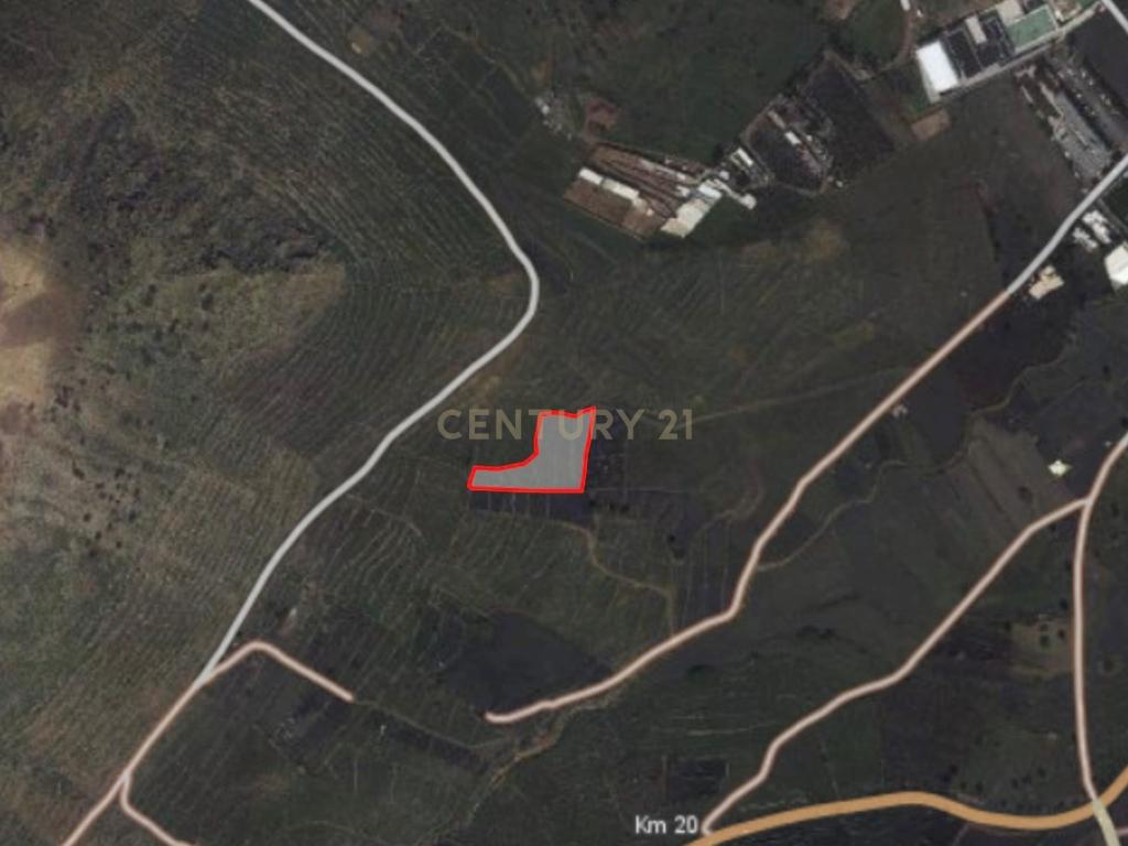 - Image 1