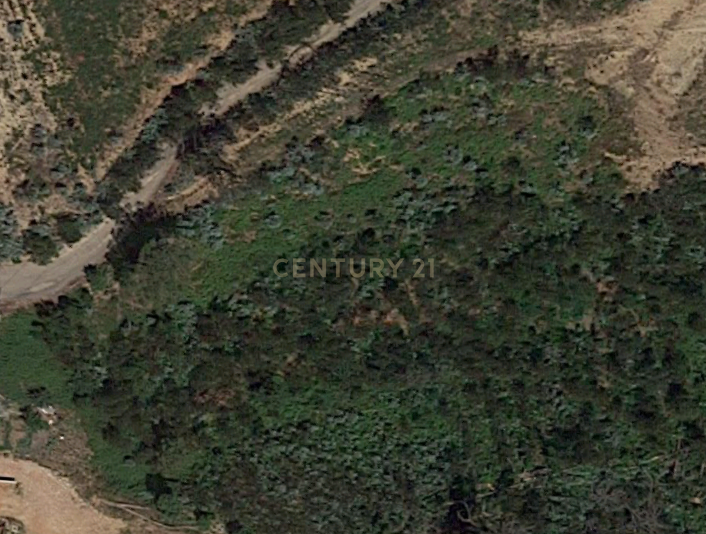 Terreno Melres - Image 11