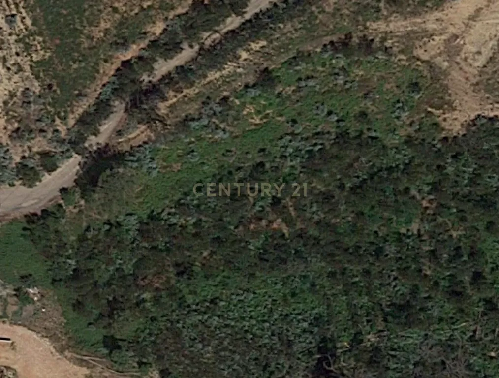 Terreno Melres - Image 11