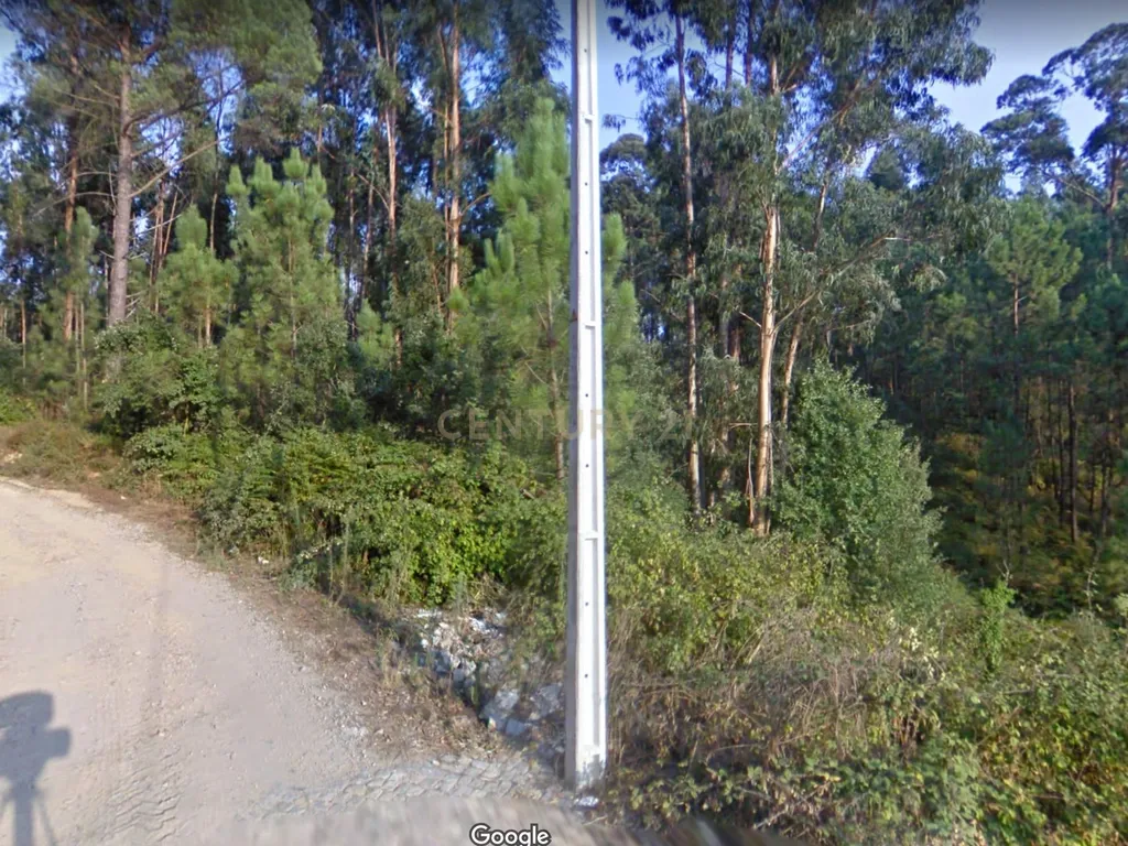 Terreno Melres - Image 12