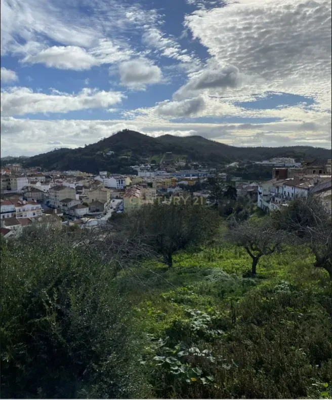Quintinha da Bela Vista na Malveira - Image 68
