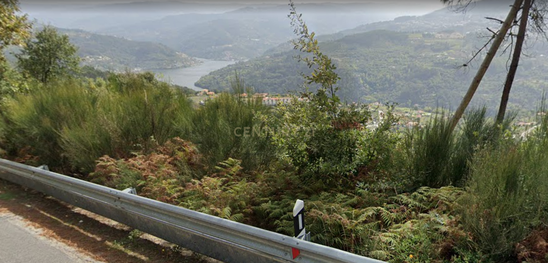 Terrenos Rústicos com vistas para o Rio Douro - Image 1