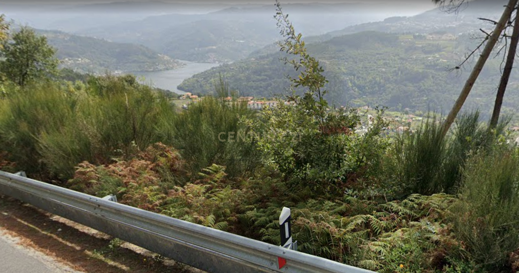 Terrenos Rústicos com vistas para o Rio Douro - Image 1