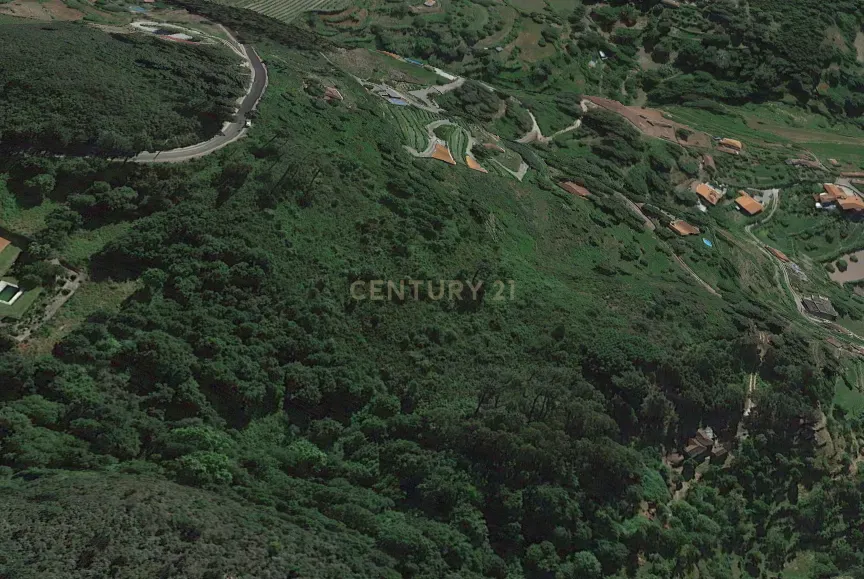 Terrenos Rústicos com vistas para o Rio Douro - Image 2