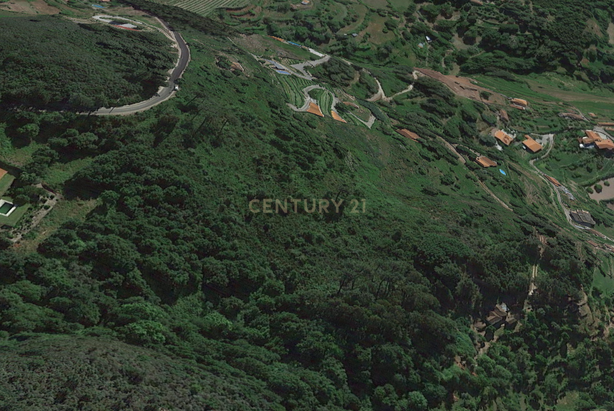 Terrenos Rústicos com vistas para o Rio Douro - Image 2