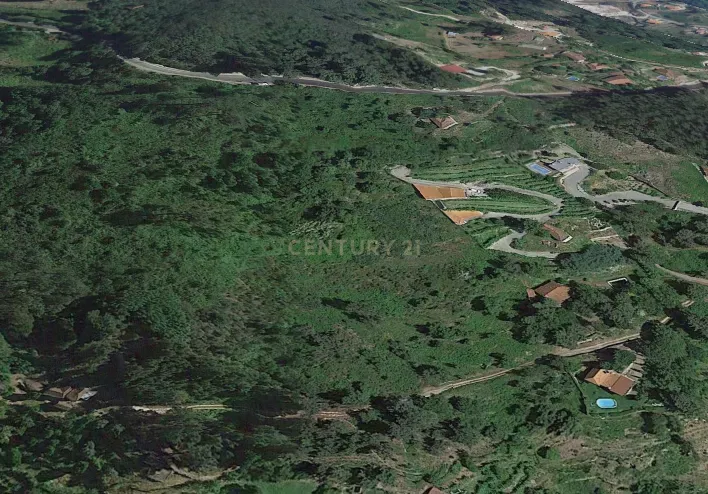 Terrenos Rústicos com vistas para o Rio Douro - Image 6