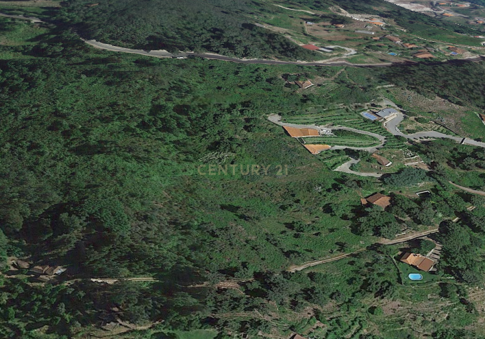 Terrenos Rústicos com vistas para o Rio Douro - Image 6