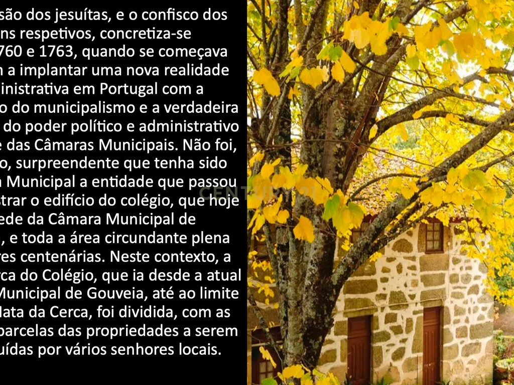 Casa da Cerca - Gouveia - Image 9