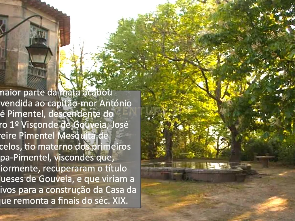 Casa da Cerca - Gouveia - Image 10