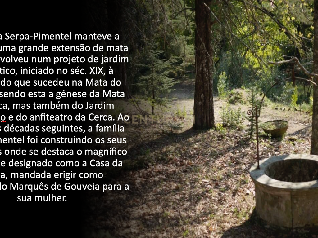 Casa da Cerca - Gouveia - Image 12